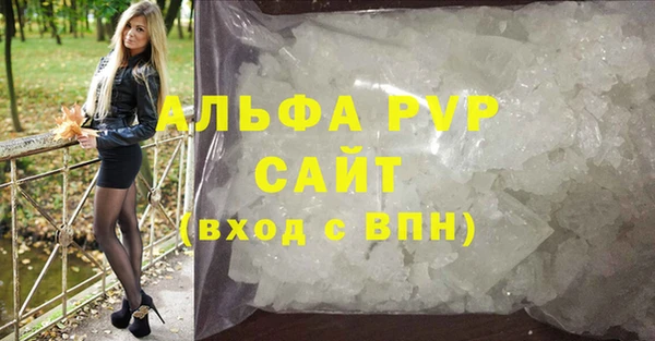 гидра Абаза
