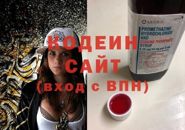 гидра Абаза