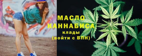 гидра Абаза