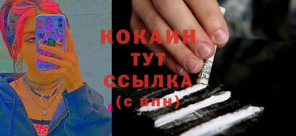 гидра Абаза